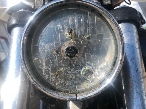 PHOTO-2018-05-23-20-22-39