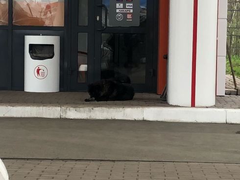 PHOTO-2018-05-29-14-39-07 2