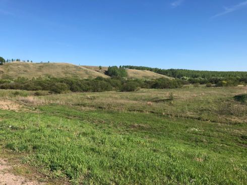 PHOTO-2018-05-31-11-58-55 2