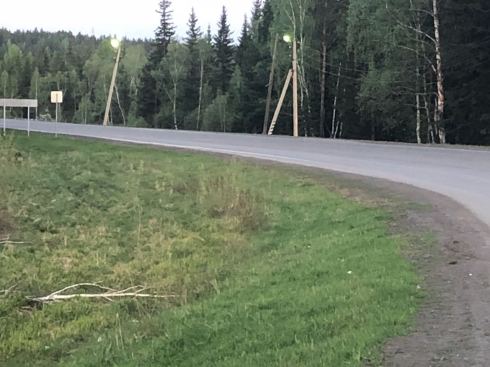 PHOTO-2018-05-31-11-59-02