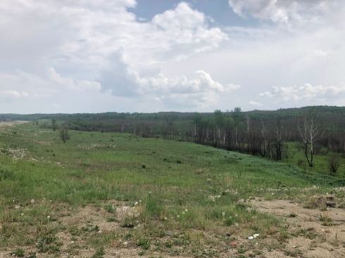 PHOTO-2018-06-06-15-02-50