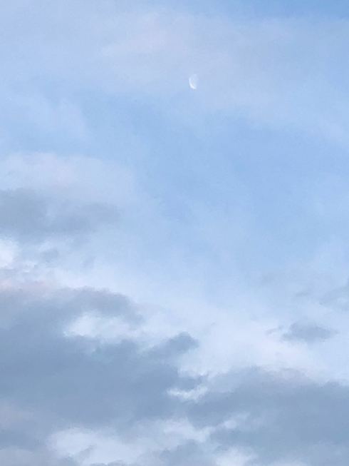 PHOTO-2018-06-06-15-08-23