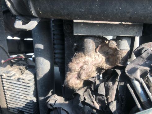 PHOTO-2018-06-06-15-09-47