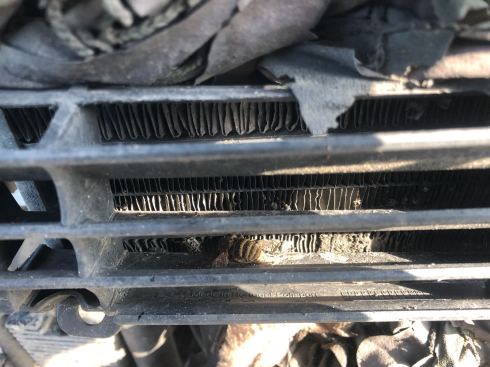 PHOTO-2018-06-06-15-10-06