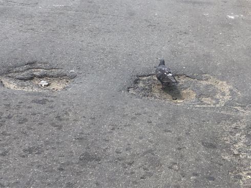 PHOTO-2018-06-07-11-56-37 2