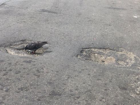 PHOTO-2018-06-07-11-56-38