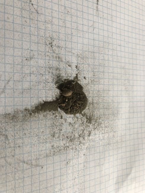 PHOTO-2018-06-08-10-04-48