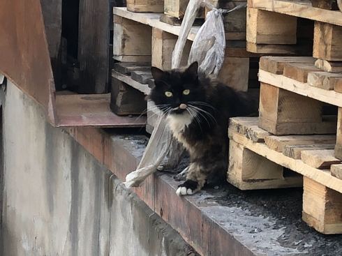 PHOTO-2018-06-09-10-23-51