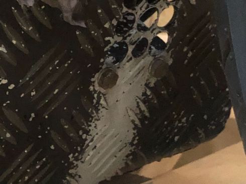 PHOTO-2018-06-09-10-32-27