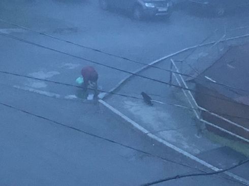 PHOTO-2018-06-17-12-57-29