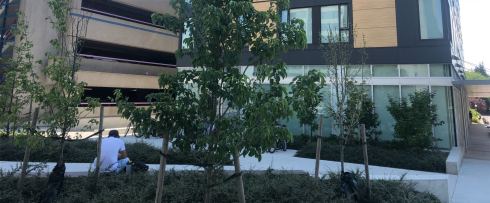 PHOTO-2018-06-21-01-28-23 3