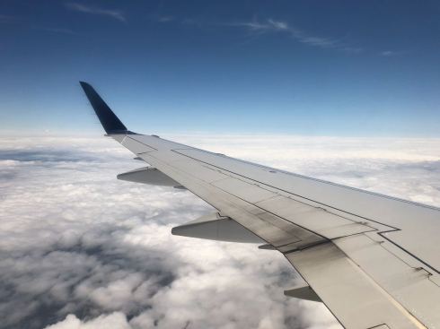 PHOTO-2018-06-25-08-33-05