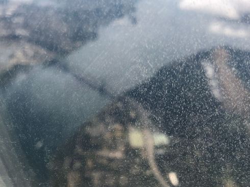 PHOTO-2018-06-25-08-33-08 2