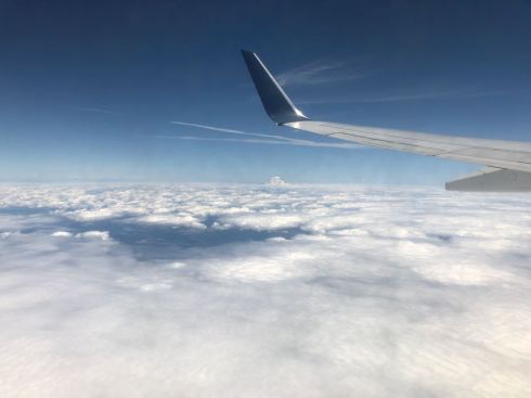 PHOTO-2018-06-25-08-33-09 2