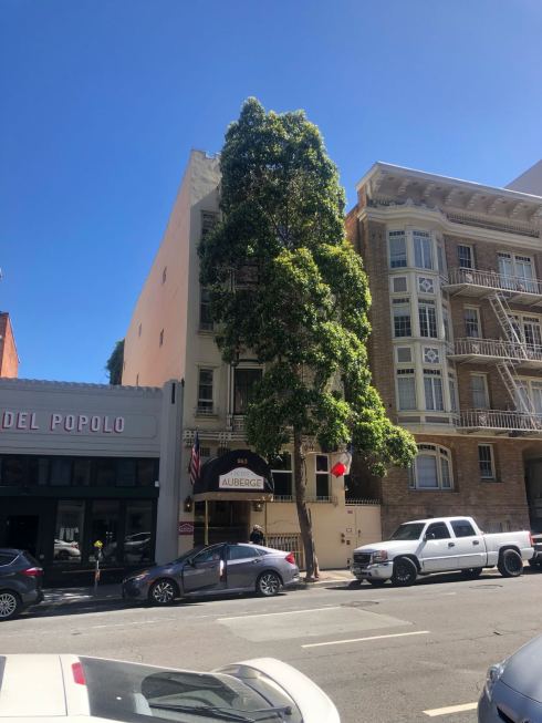 PHOTO-2018-06-27-02-09-39 3