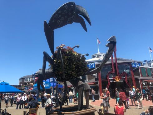 PHOTO-2018-06-29-05-07-07 3