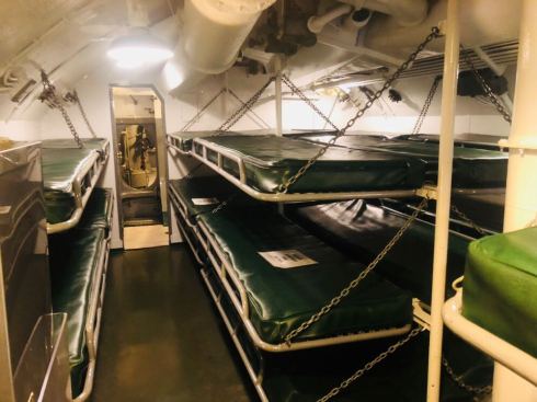 PHOTO-2018-06-29-05-35-58 2