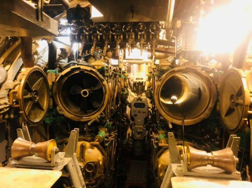 PHOTO-2018-06-29-05-36-27 2