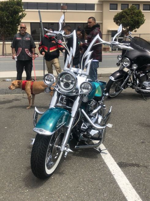 PHOTO-2018-07-08-01-32-17