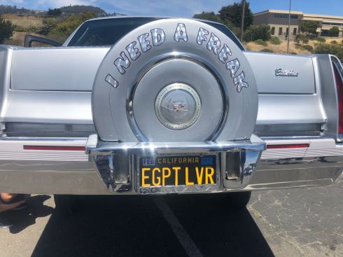 PHOTO-2018-07-08-01-35-47 2