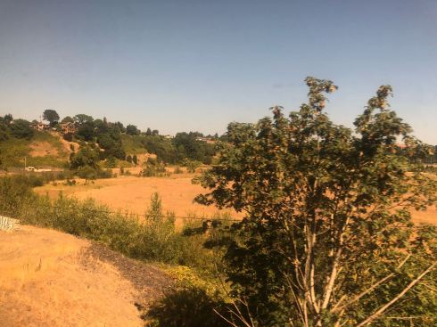 PHOTO-2018-07-09-09-04-37 2