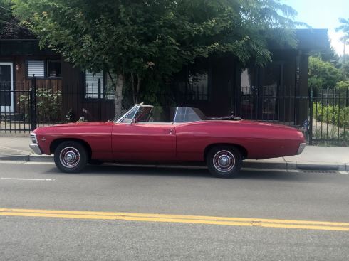 PHOTO-2018-07-11-06-38-18 3