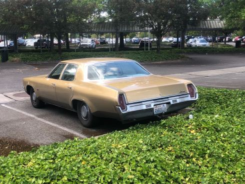 PHOTO-2018-07-11-06-38-21 2