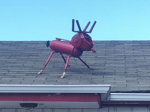 PHOTO-2018-07-11-06-40-04 3