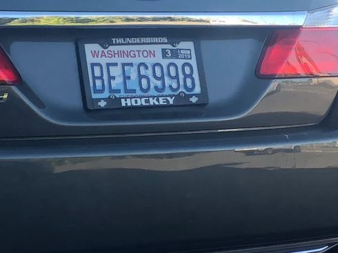 PHOTO-2018-07-16-19-15-07