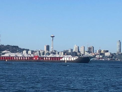 PHOTO-2018-07-16-19-15-12 4