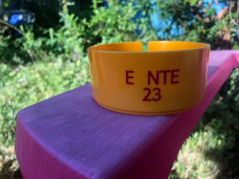 PHOTO-2018-07-16-19-17-46