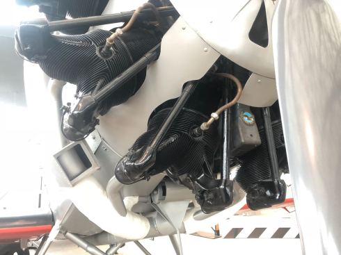 PHOTO-2018-07-20-07-24-08 2