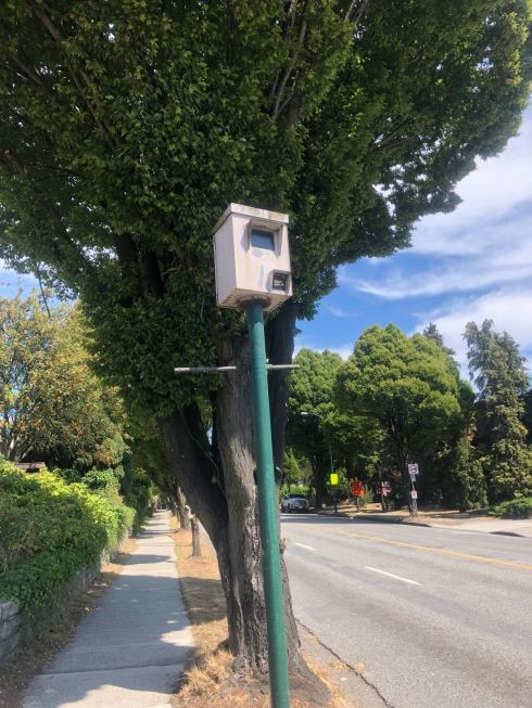 PHOTO-2018-07-26-05-24-55