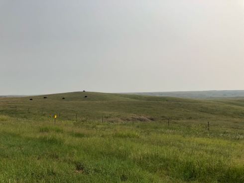 PHOTO-2018-08-15-19-06-30 2