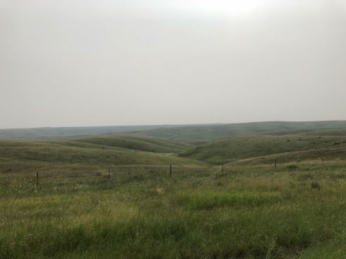 PHOTO-2018-08-15-19-06-31 2