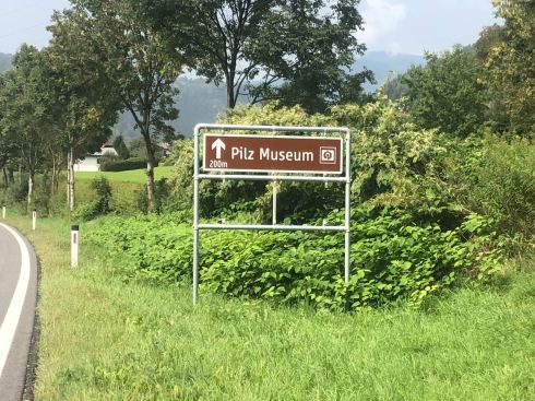 PHOTO-2018-09-07-16-26-41 2