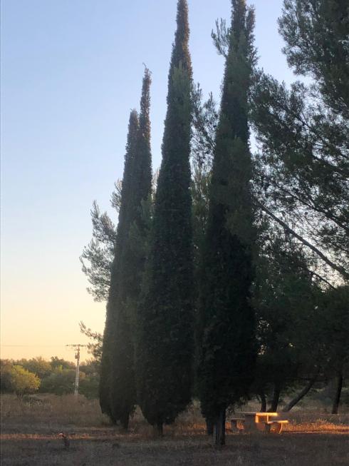 PHOTO-2019-08-11-10-42-48