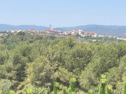 PHOTO-2019-08-11-10-43-23