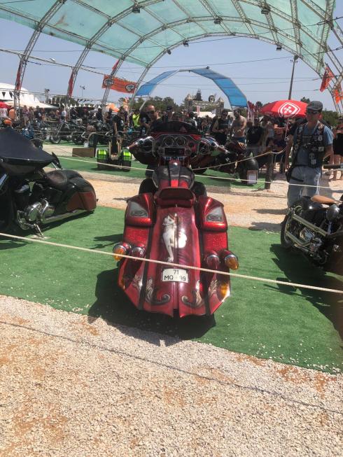 PHOTO-2019-08-11-10-46-22 3